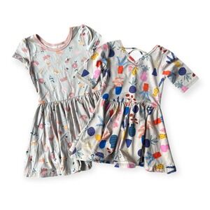 Dot Dot Smile Toddler Girls Twirl Dresses Lot of 2 Size 2t